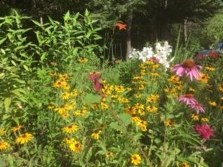 42 Woodland Road Otisfield ME 04270