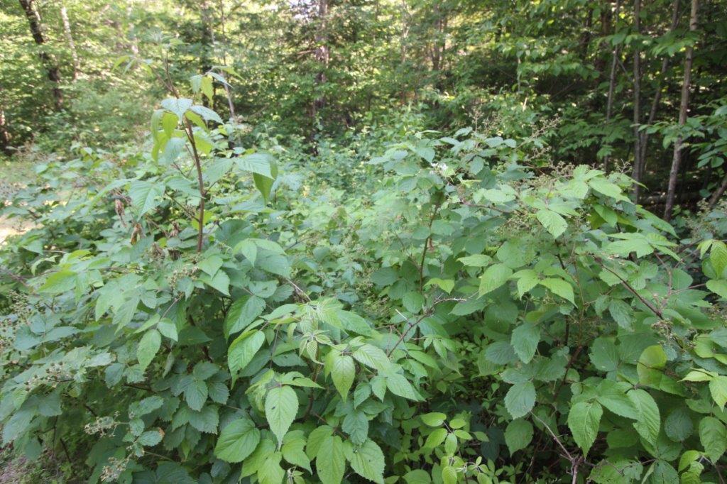 272 Greenacre Road Lincolnville ME 04849