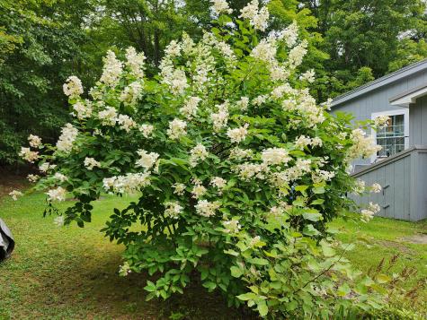 772 Morrill Pond Road Hartland ME 04943