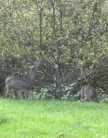 18 Wilder Hill Road Norridgewock ME 04957