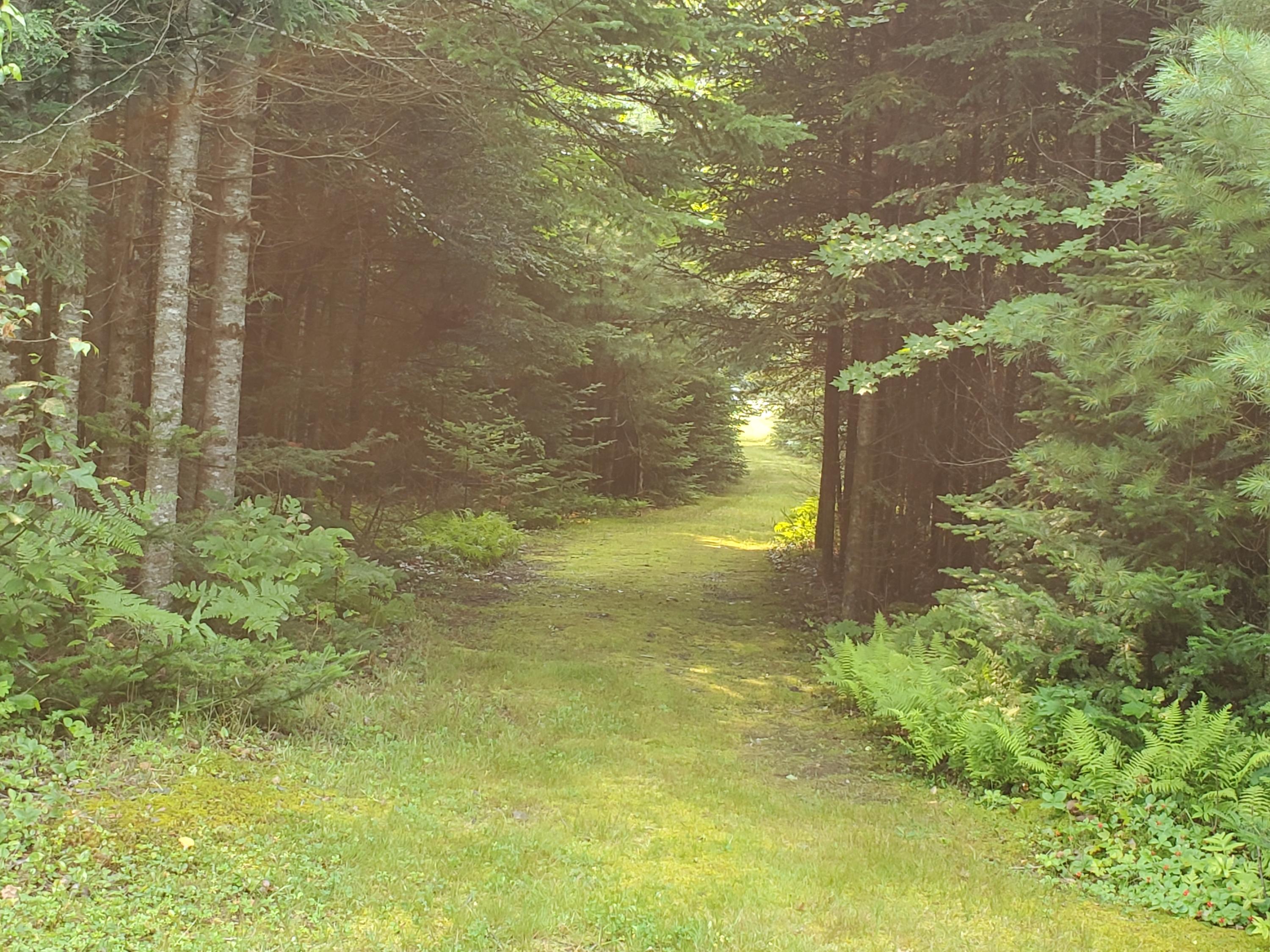 337 Fuller Corner Road Hartland ME 04943
