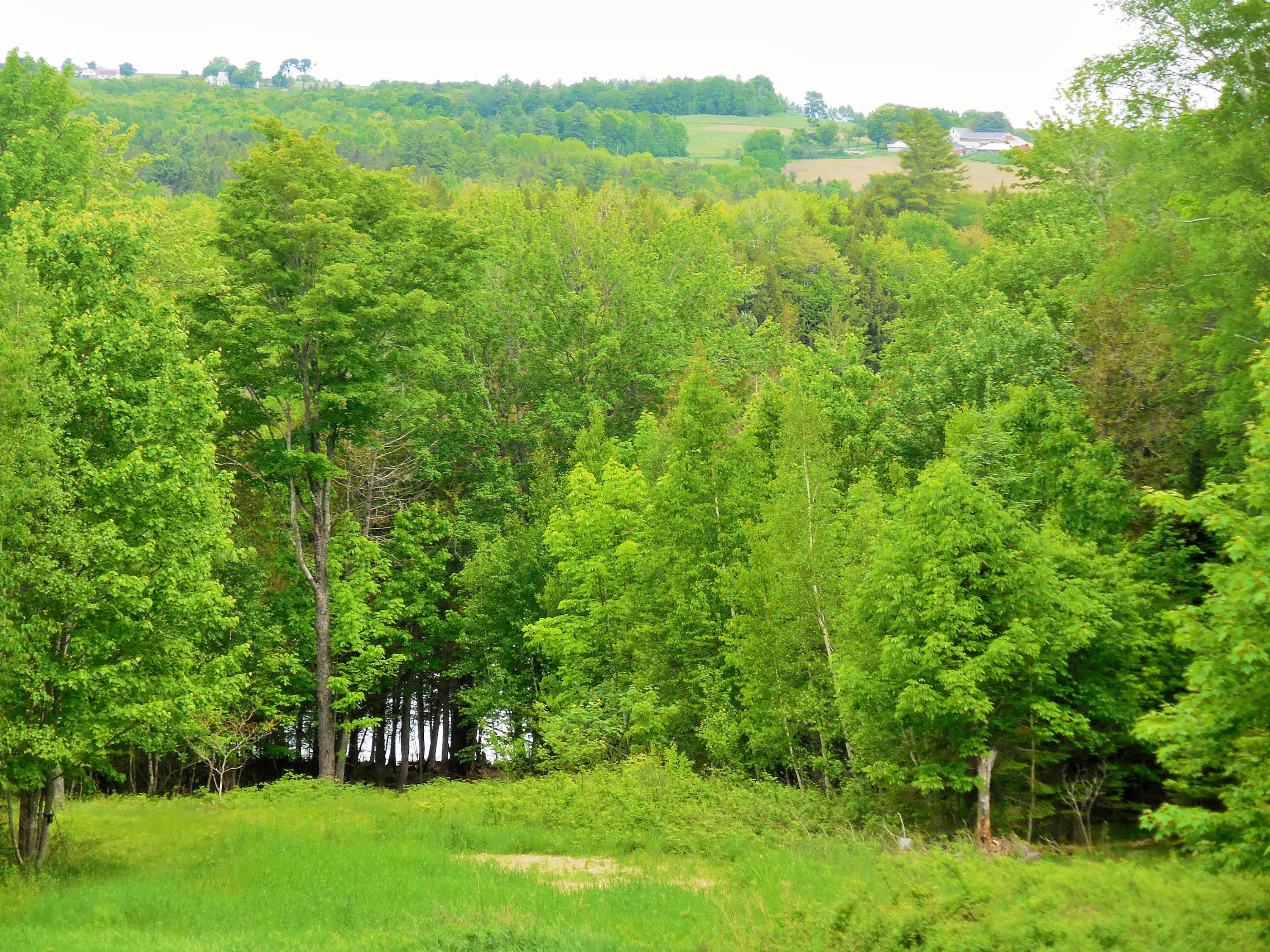 5 Sunken Bridge Road Corinna ME 04928
