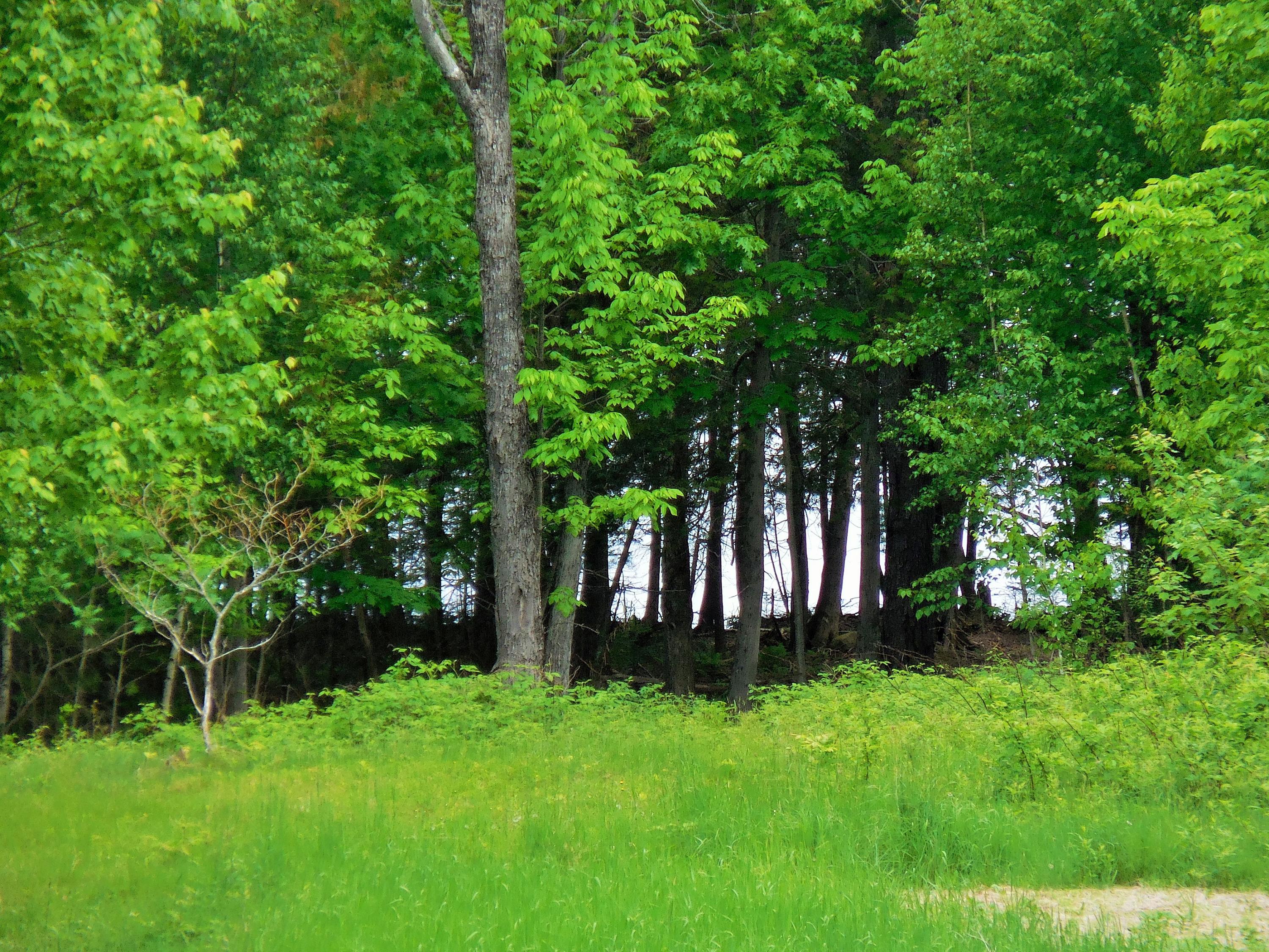 5 Sunken Bridge Road Corinna ME 04928