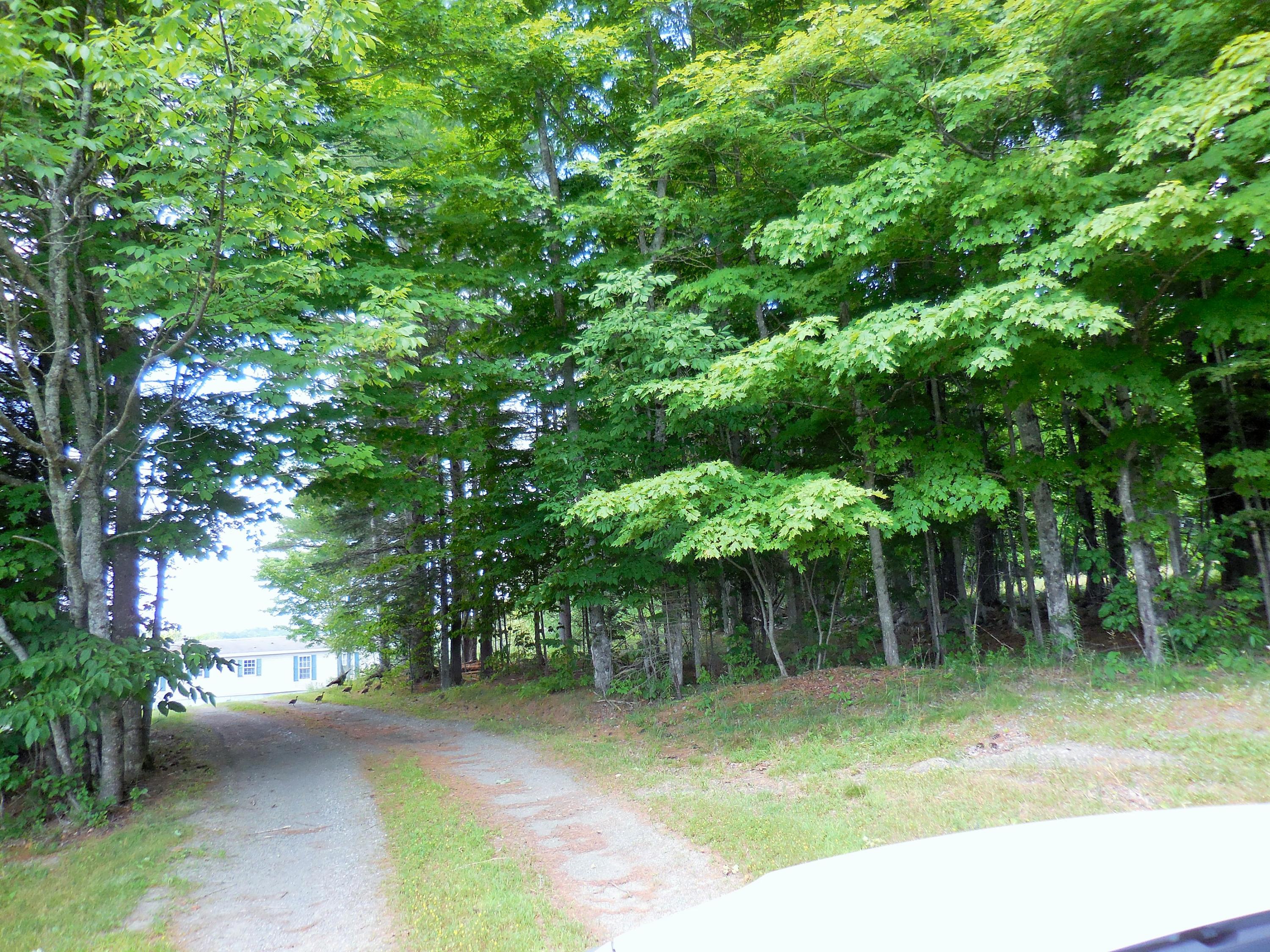 5 Sunken Bridge Road Corinna ME 04928
