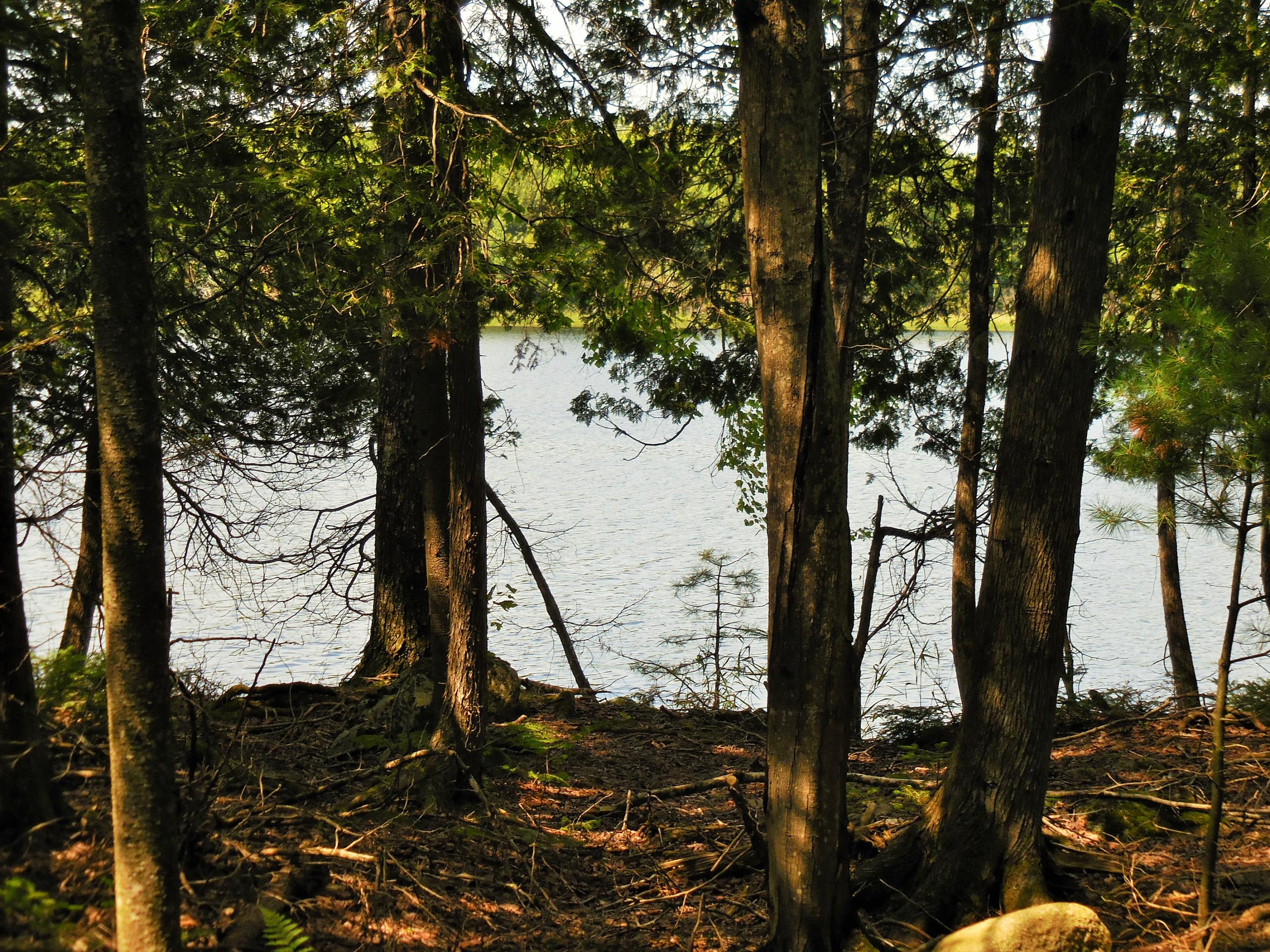 5 Sunken Bridge Road Corinna ME 04928