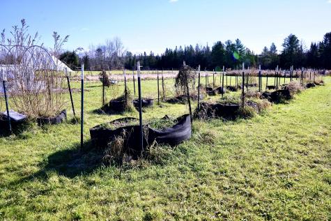 57 Worthen Road Corinna ME 04928