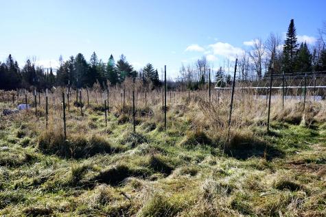 57 Worthen Road Corinna ME 04928