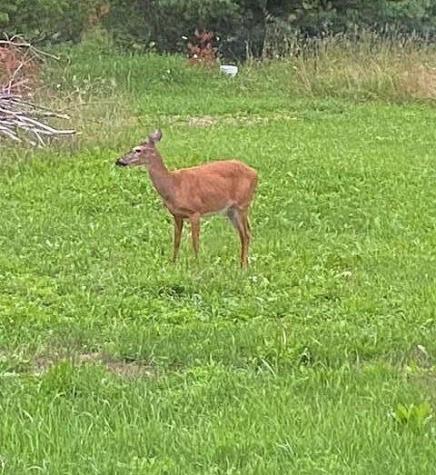 757 Industry Road Farmington ME 04938