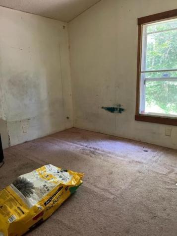 564 Bisbee Town Road Waterford ME 04088