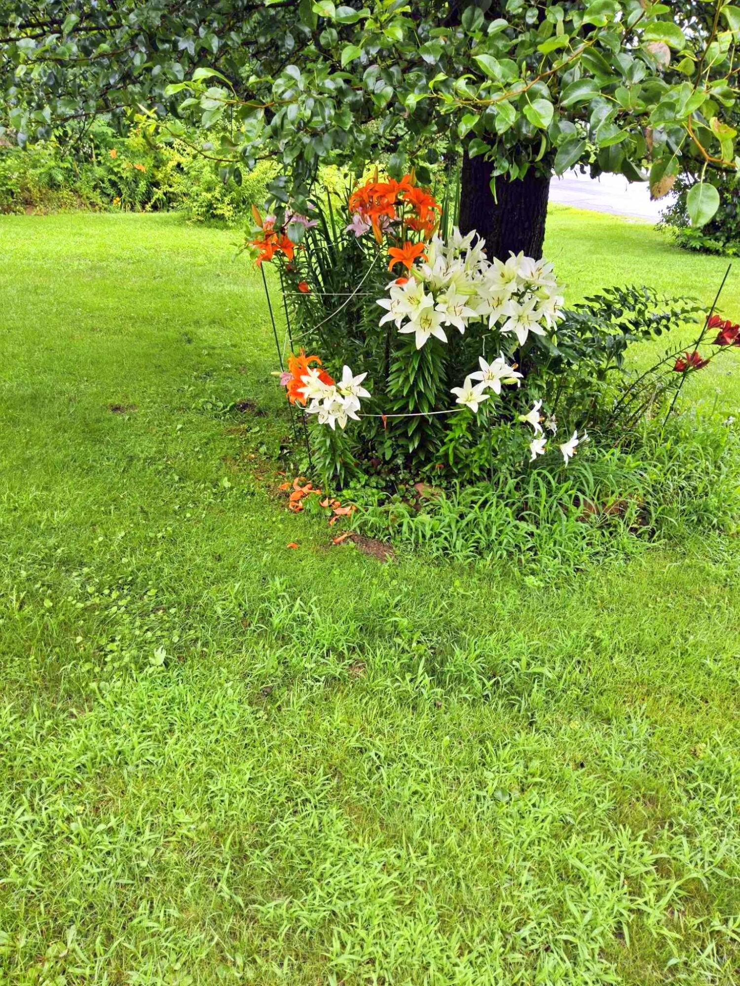1190 Fairbanks Road Farmington ME 04938