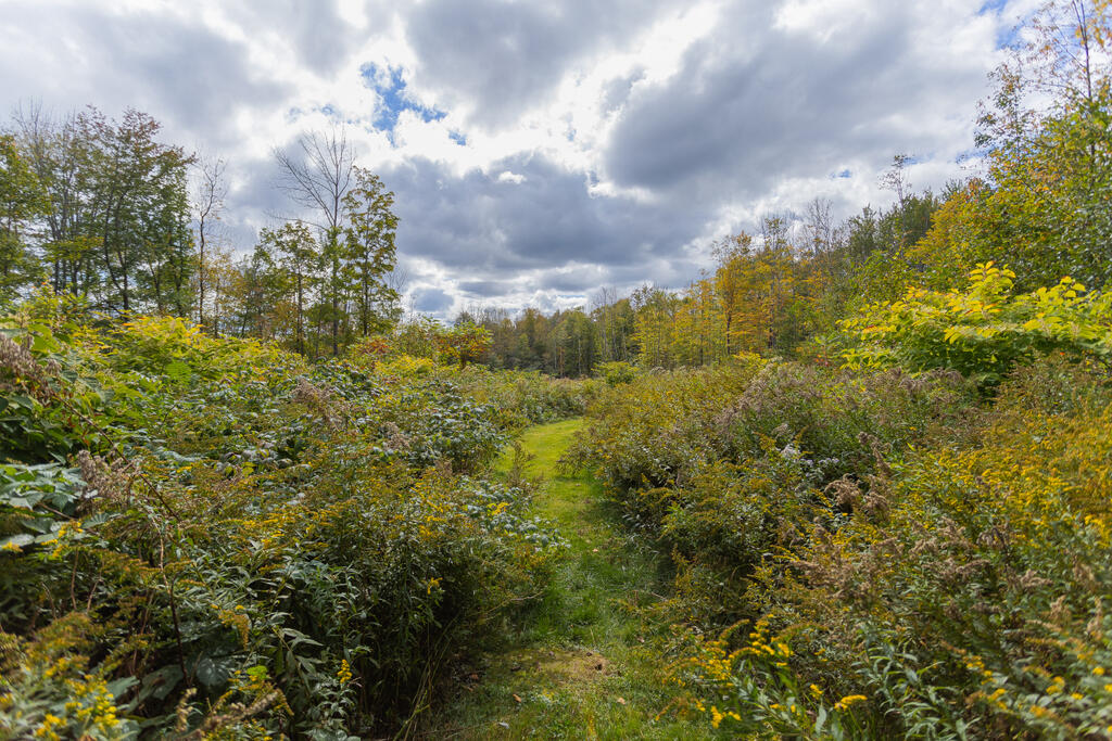 1190 Fairbanks Road Farmington ME 04938