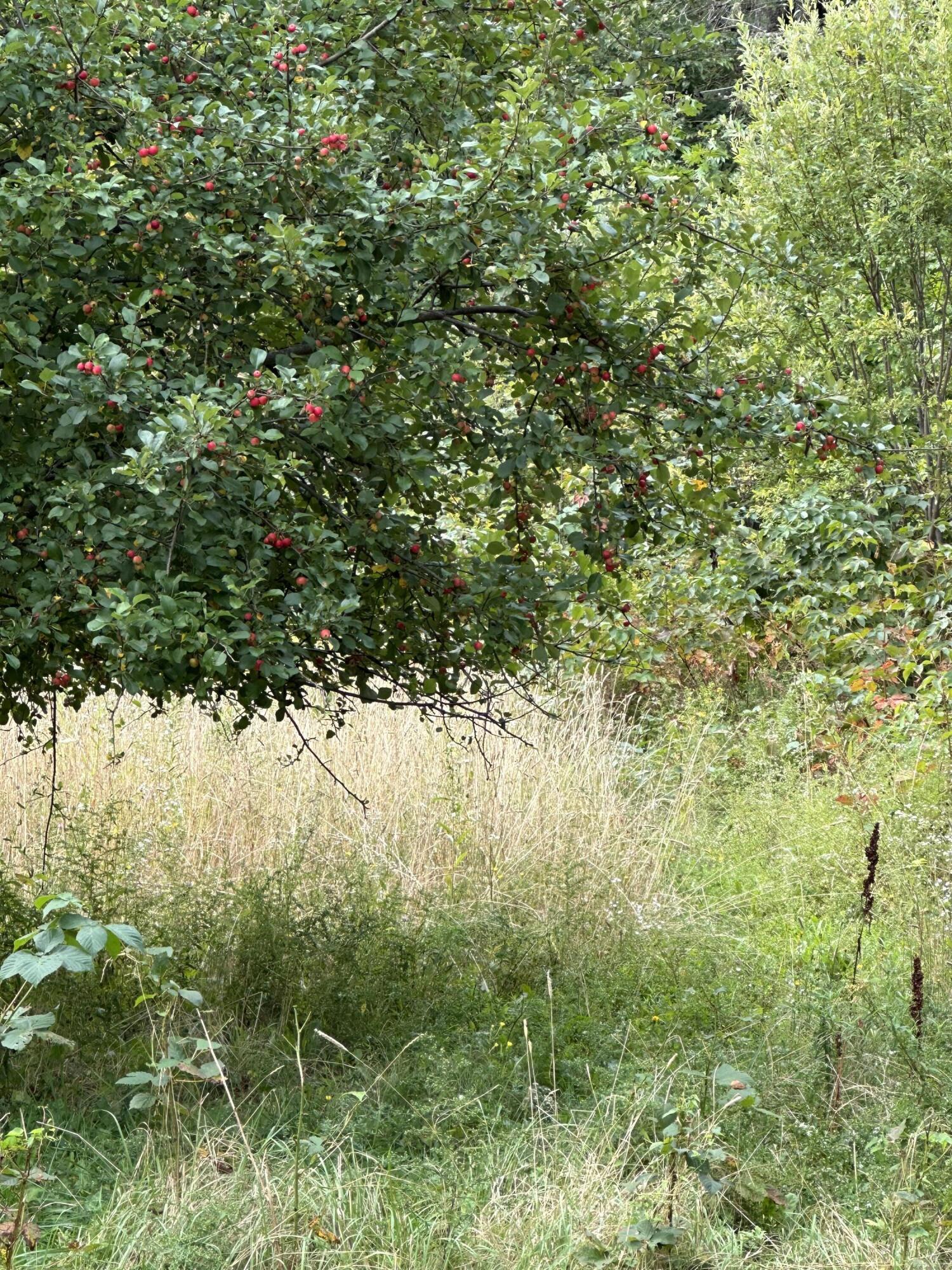 70 North Street Cherryfield ME 04622