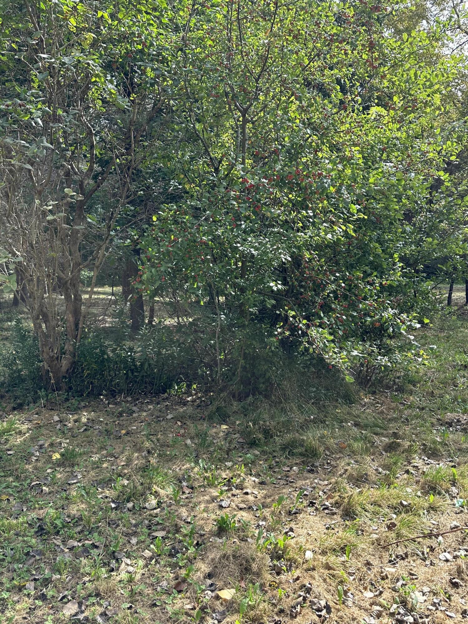 70 North Street Cherryfield ME 04622