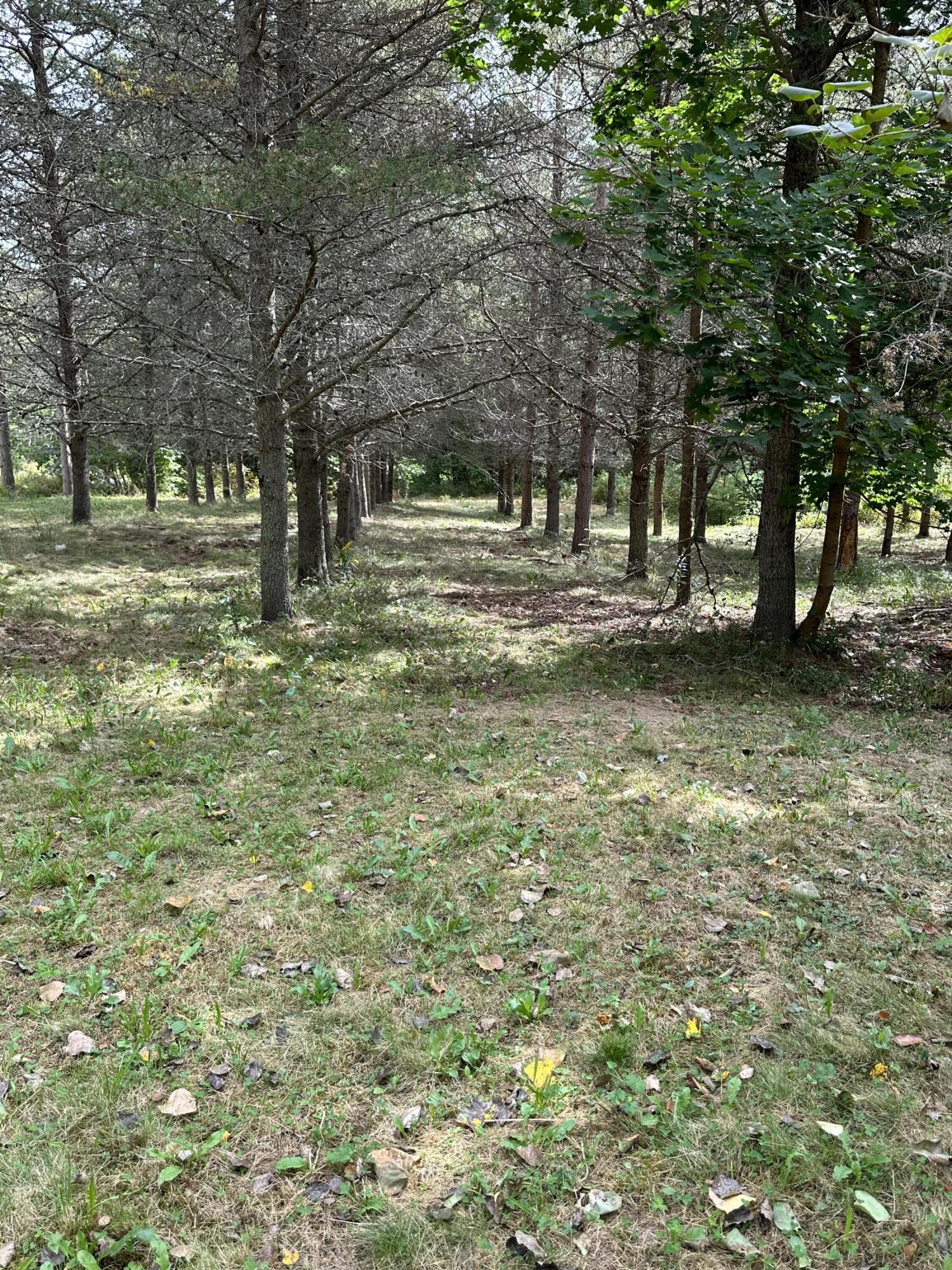 70 North Street Cherryfield ME 04622