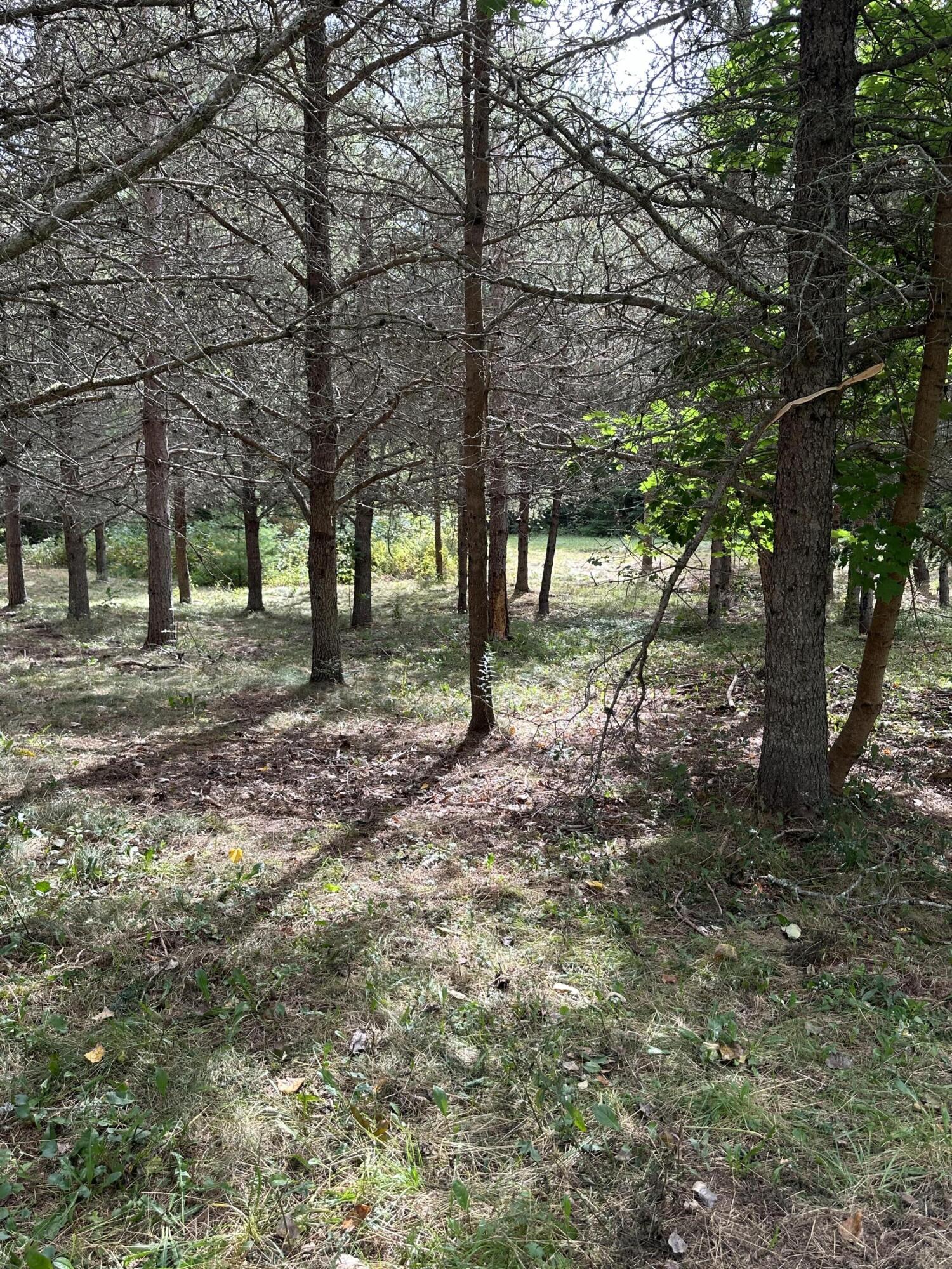 70 North Street Cherryfield ME 04622