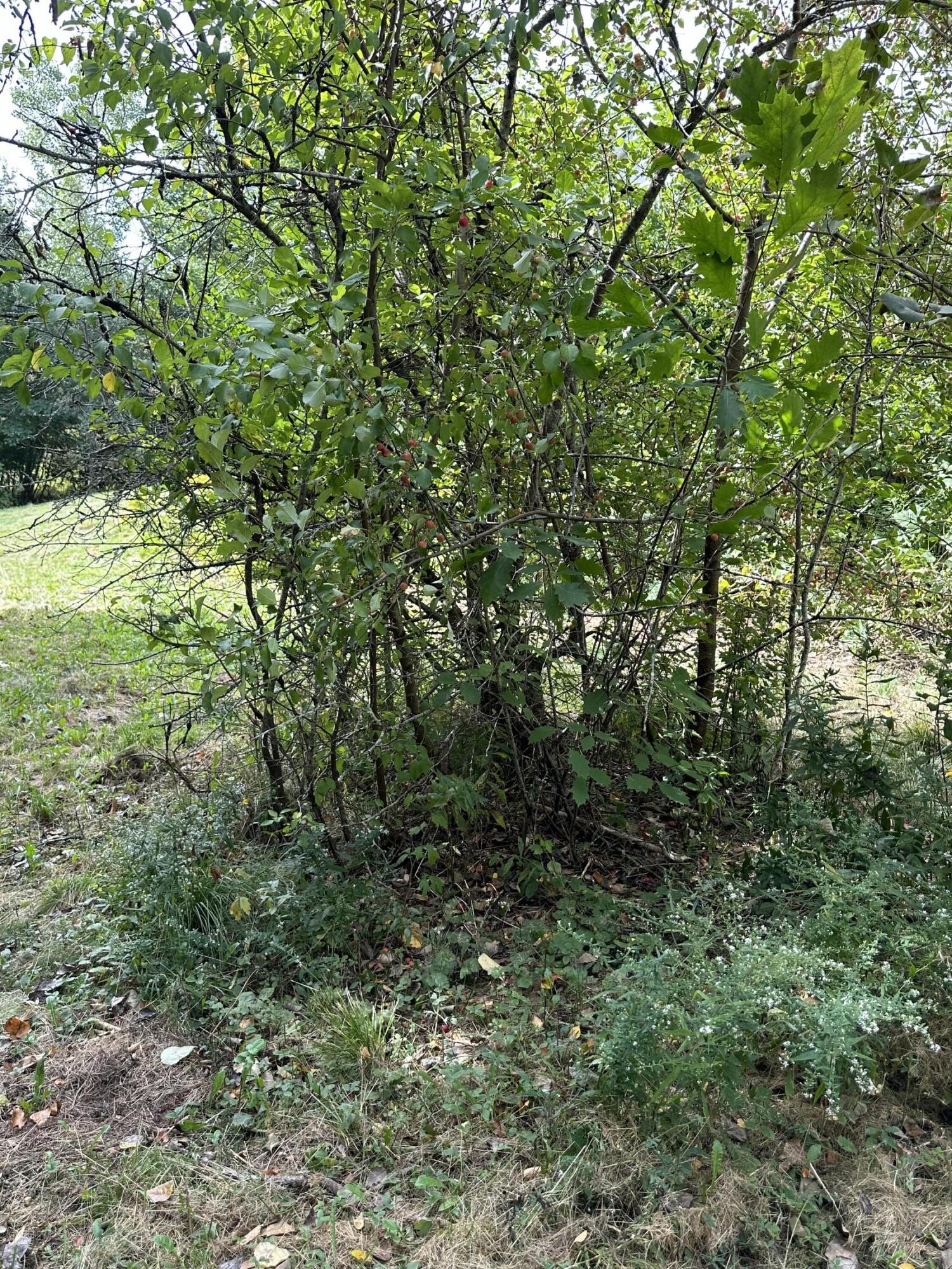 70 North Street Cherryfield ME 04622