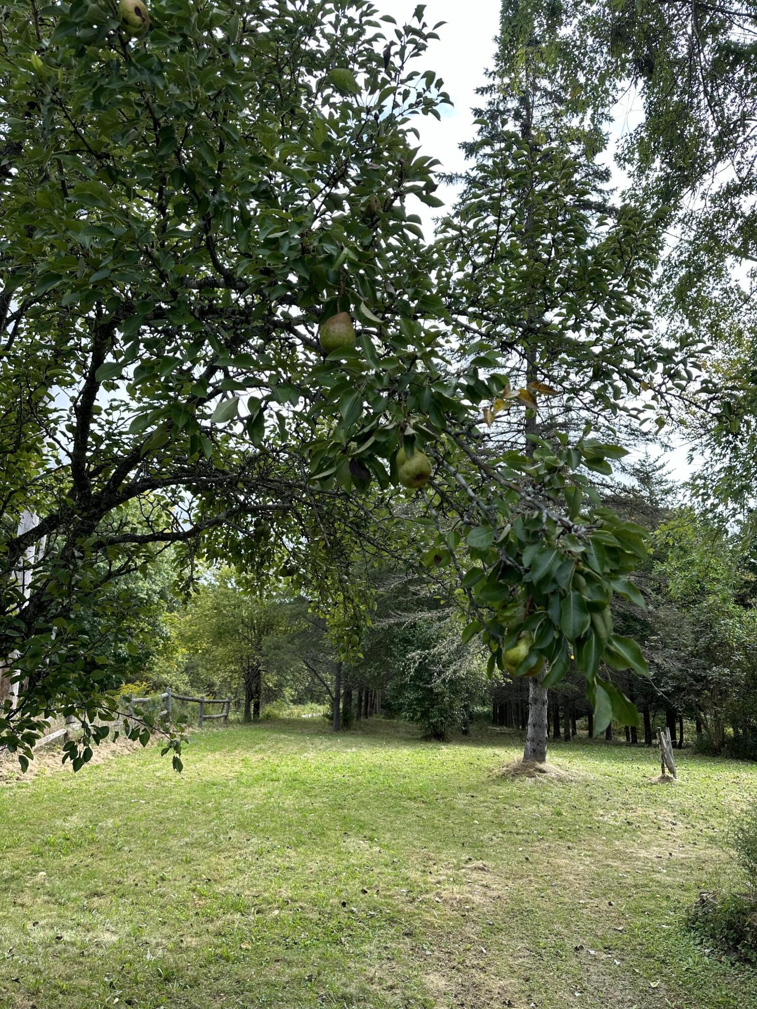 70 North Street Cherryfield ME 04622