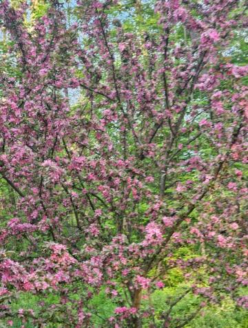 121 Ella Gerald Road Canaan ME 04924