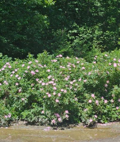 121 Ella Gerald Road Canaan ME 04924