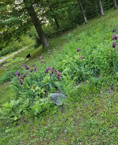 121 Ella Gerald Road Canaan ME 04924