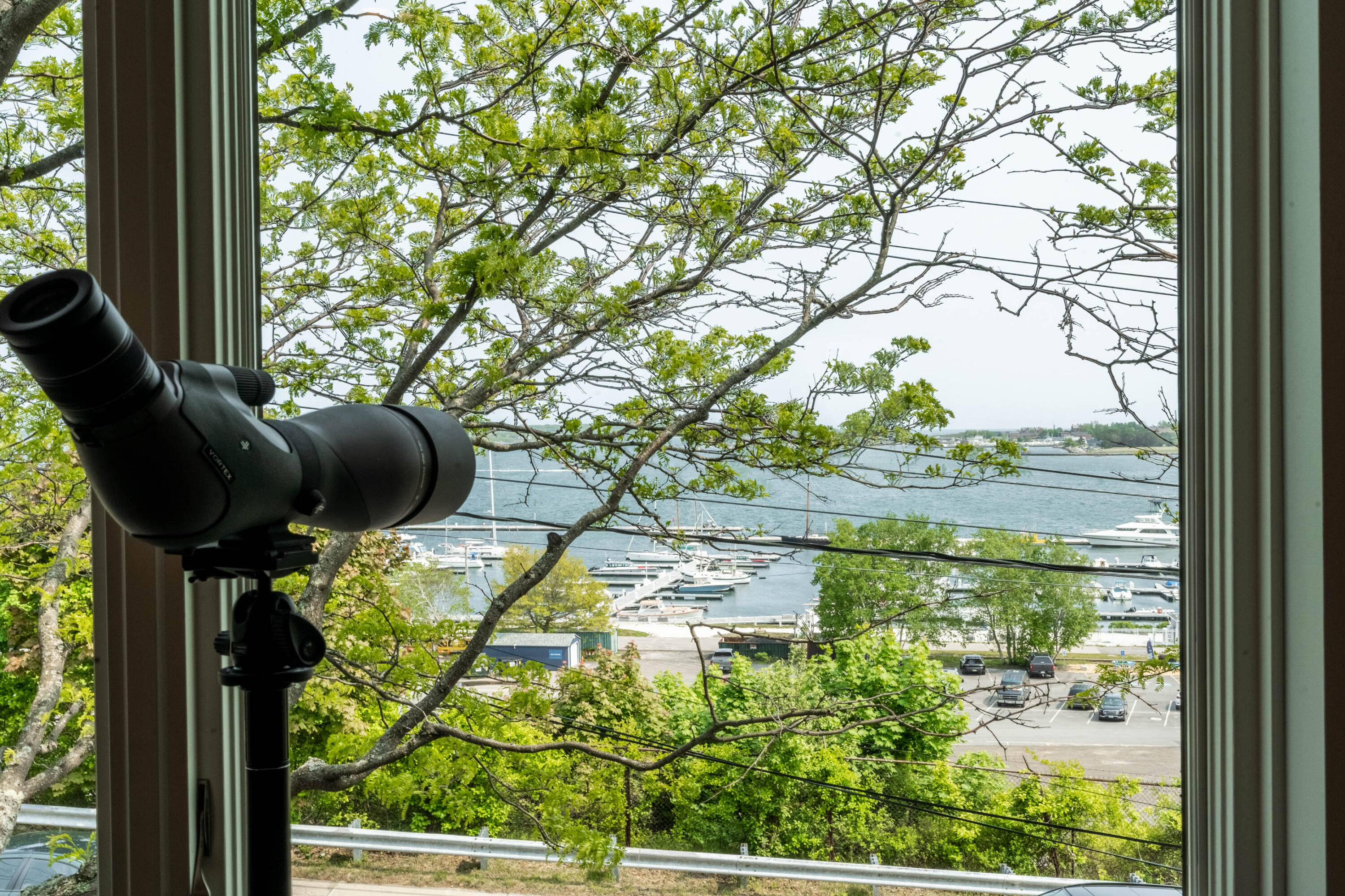 4 St Lawrence Street Portland ME 04101