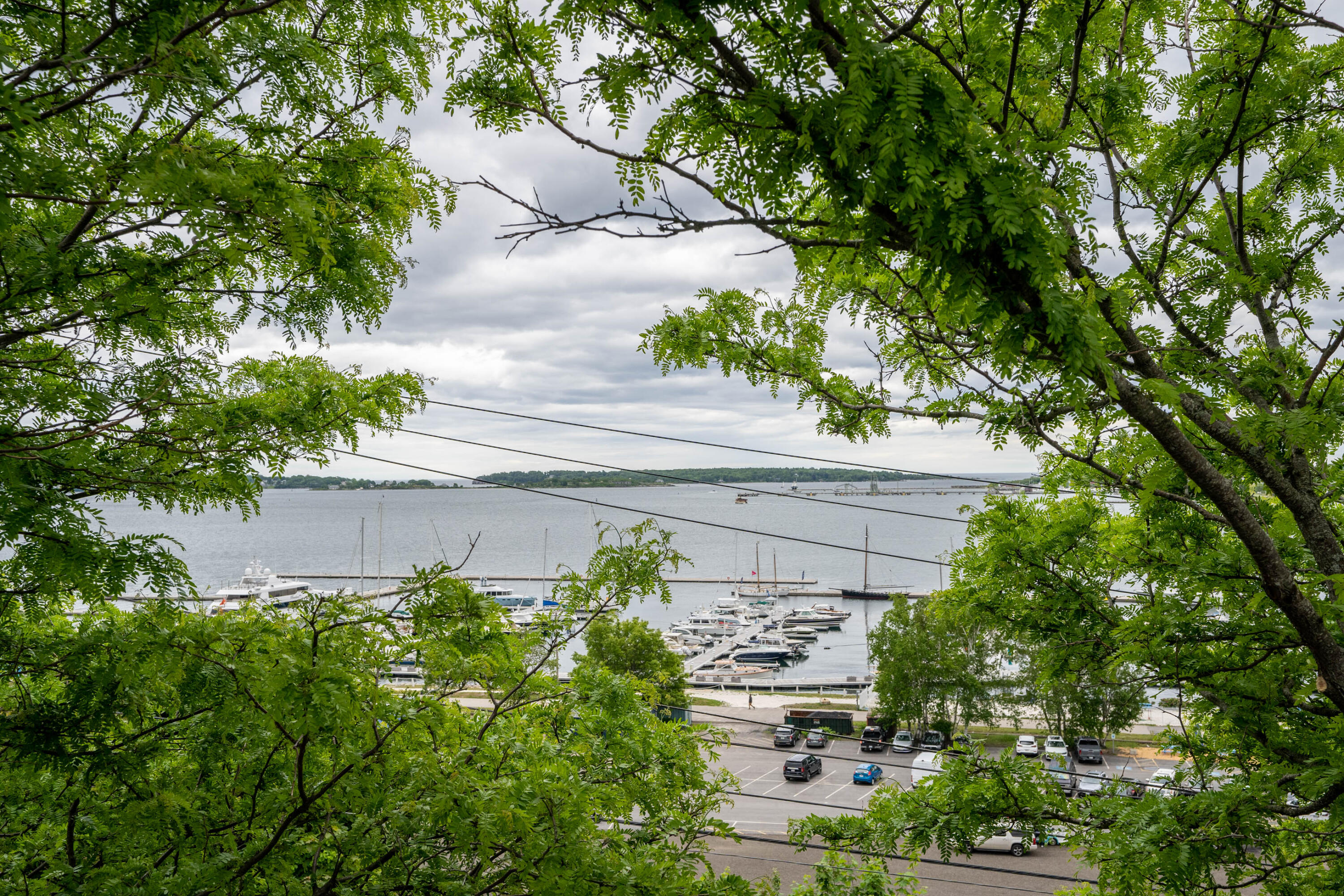 4 St Lawrence Street Portland ME 04101