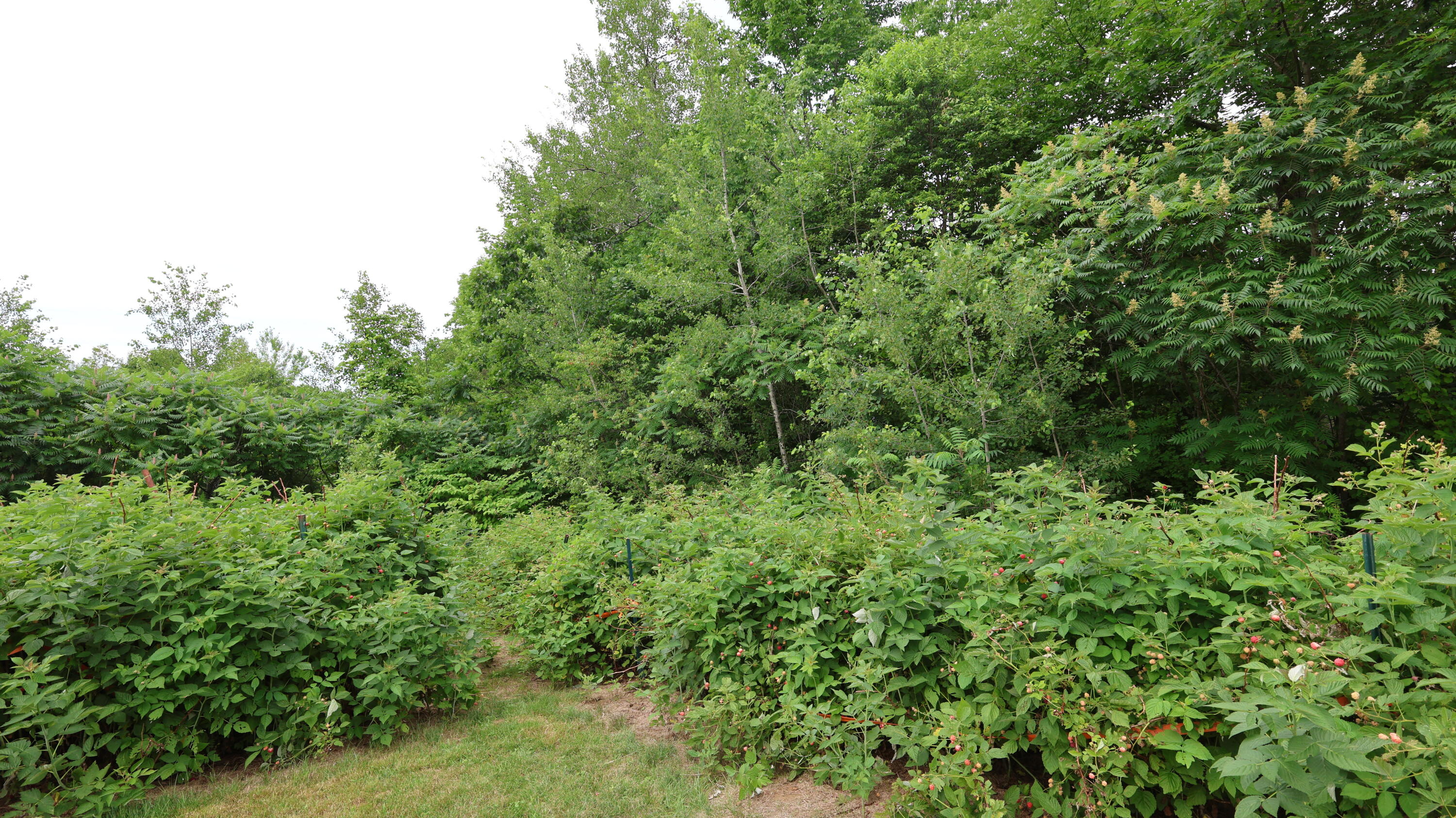 1146 Post Road Bowdoinham ME 04008