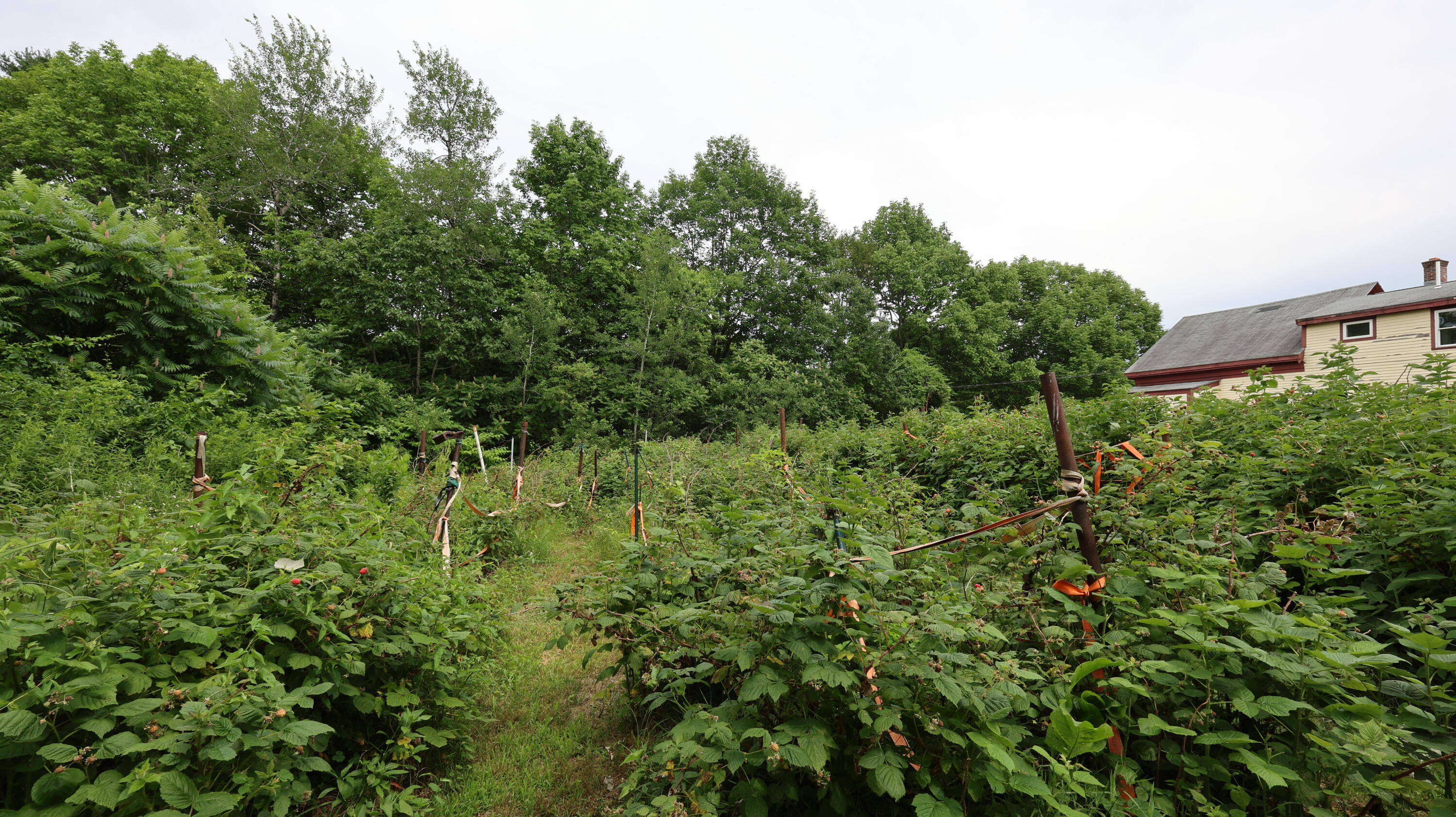 1146 Post Road Bowdoinham ME 04008