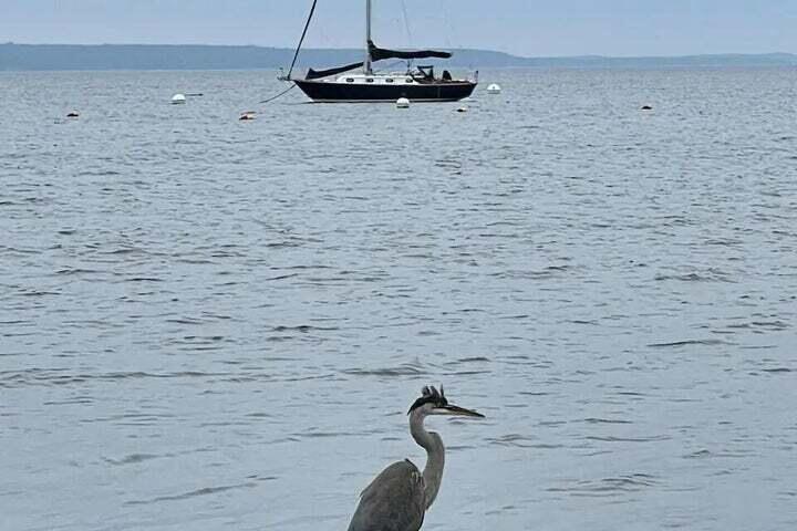 1 Water Street Searsport ME 04974