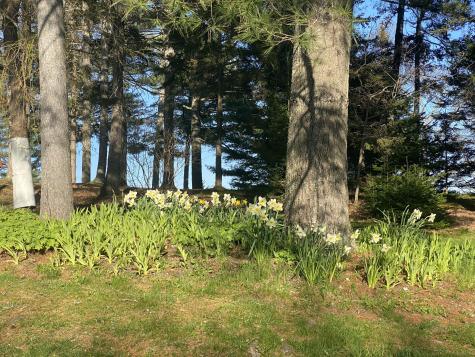 33 + 30 Taylor Road Westport Island ME 04578