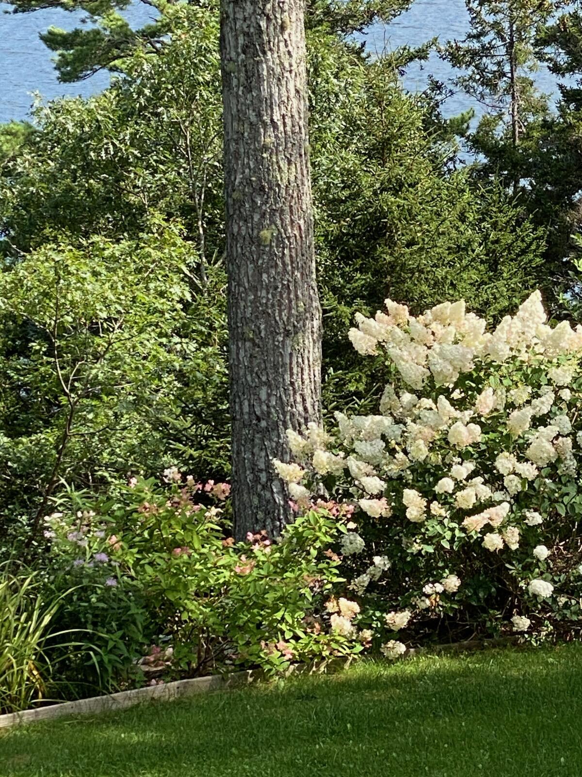 33 + 30 Taylor Road Westport Island ME 04578