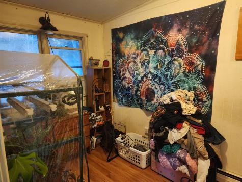 71 Hyde Road Jay ME 04239