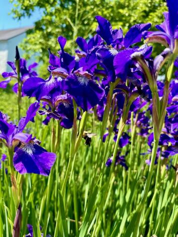 967 Meadow Road Casco ME 04015