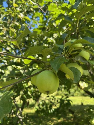 967 Meadow Road Casco ME 04015