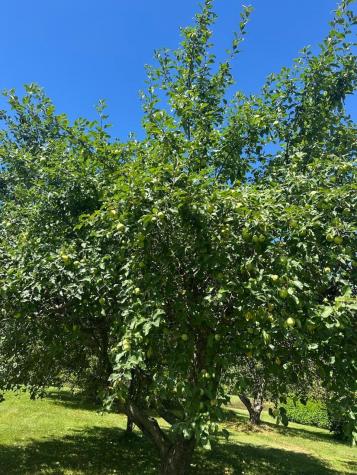 967 Meadow Road Casco ME 04015