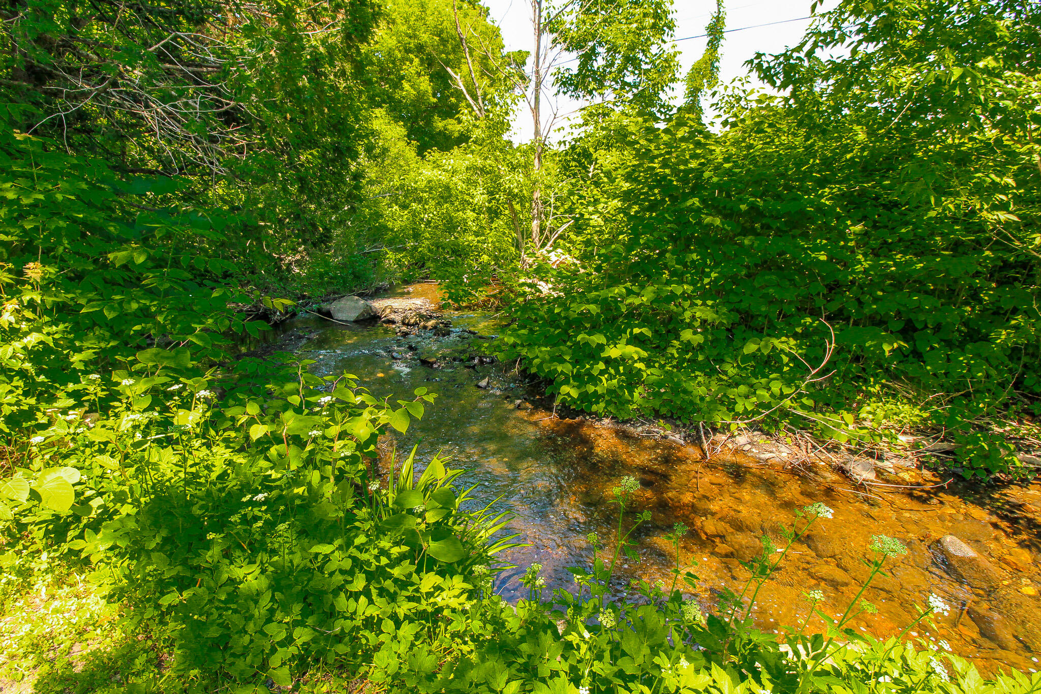 52 + 54 Summer Street Dover-foxcroft ME 04426