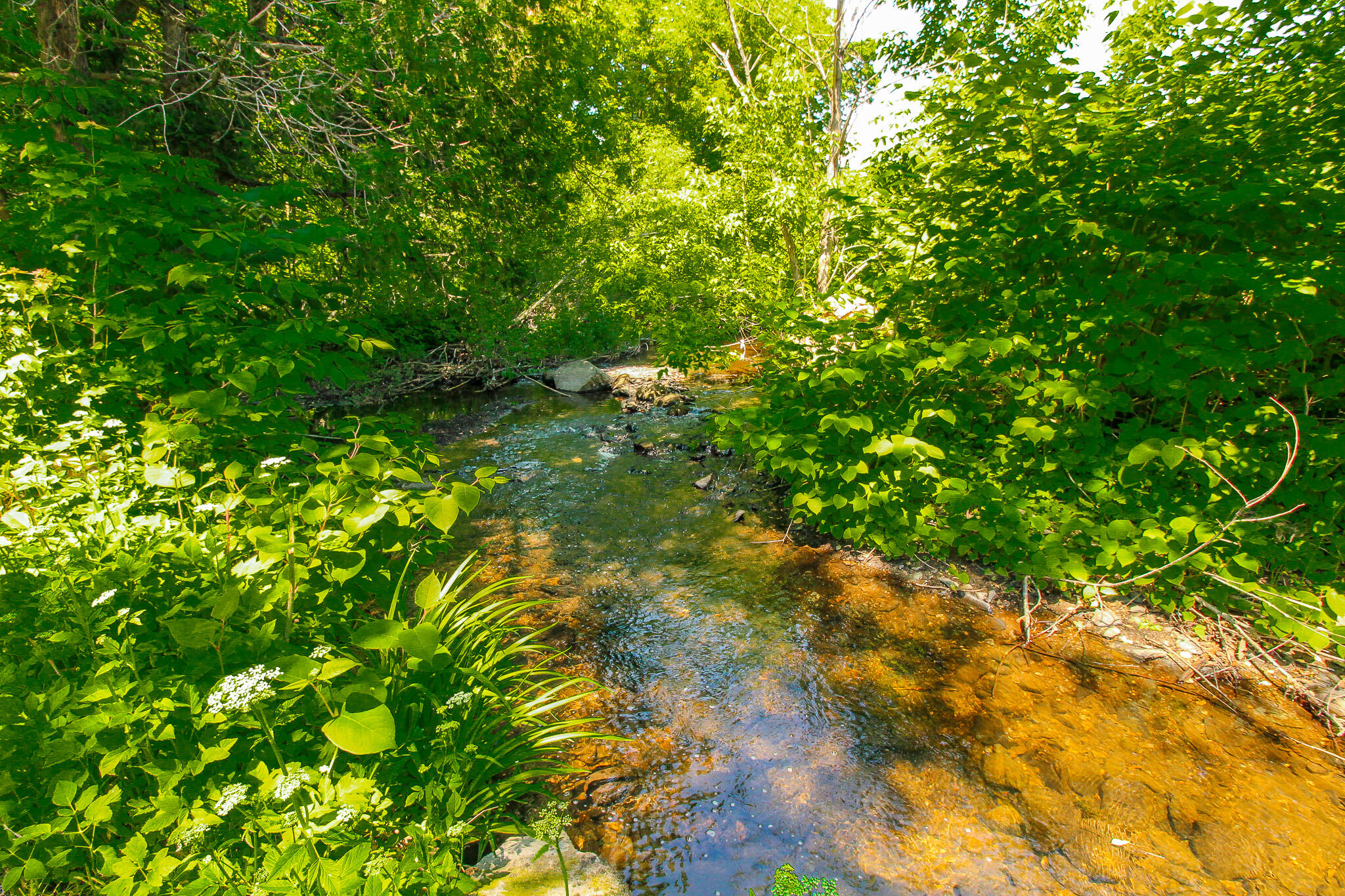 52 + 54 Summer Street Dover-foxcroft ME 04426