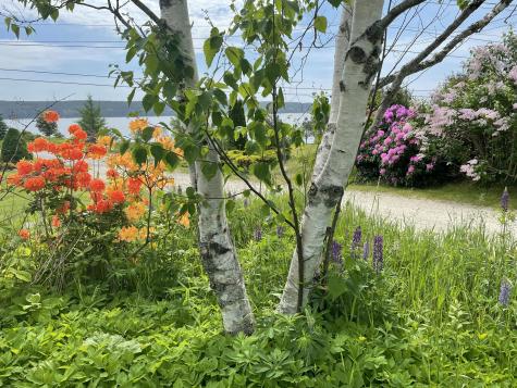 515 Falls Bridge Road Blue Hill ME 04614