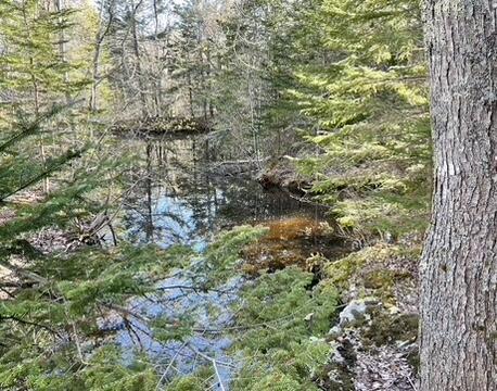 515 Falls Bridge Road Blue Hill ME 04614