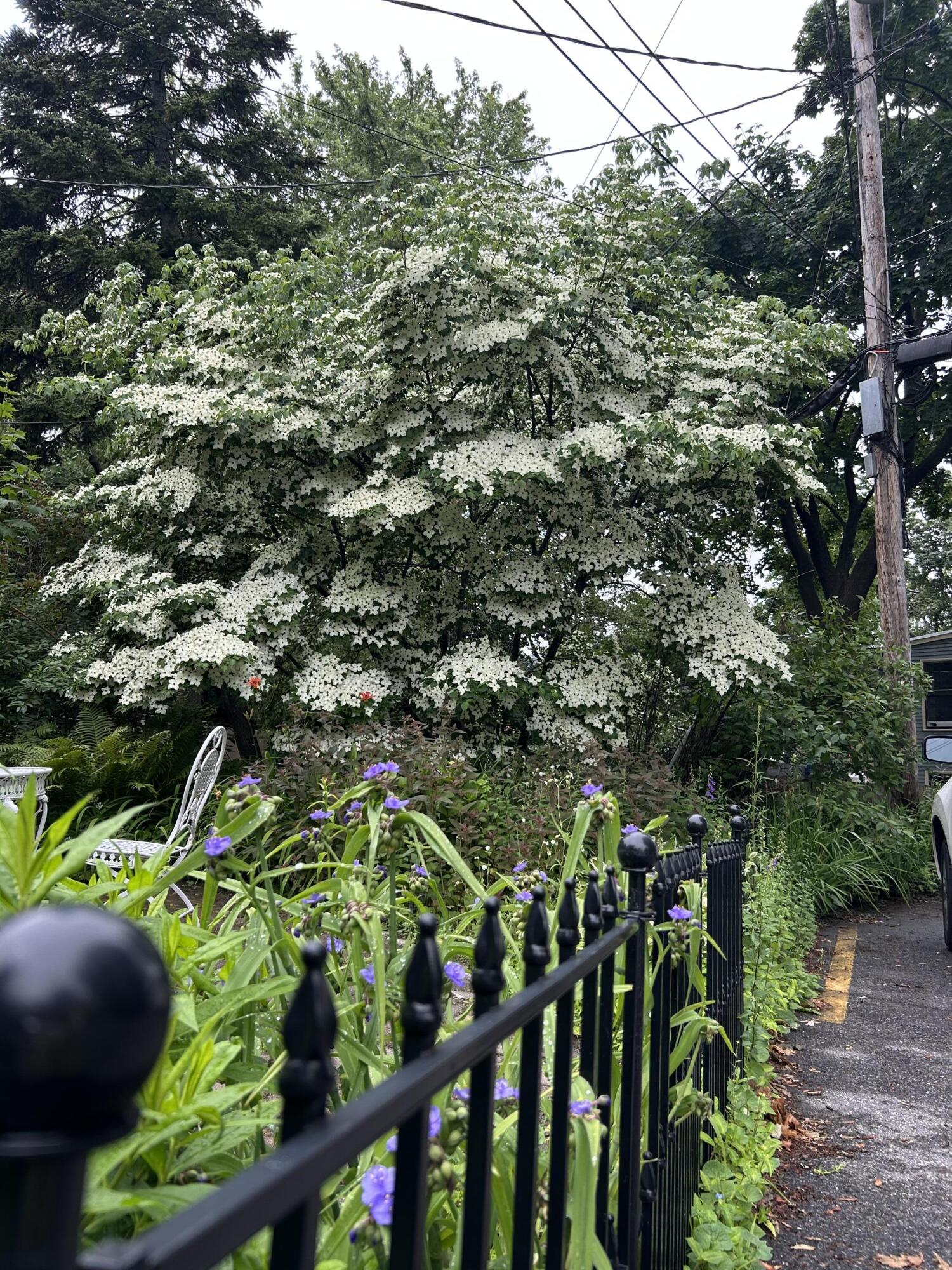 49 Deering Street Portland ME 04101