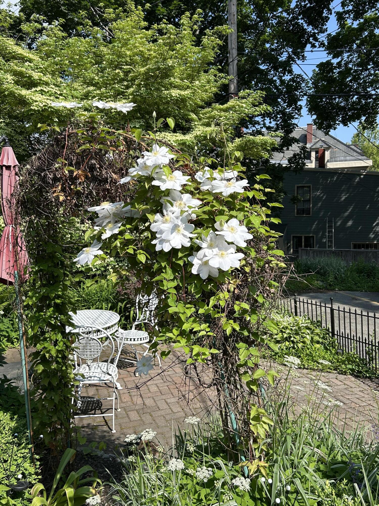 49 Deering Street Portland ME 04101