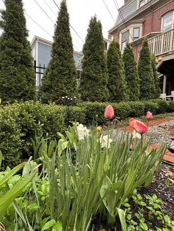 49 Deering Street Portland ME 04101