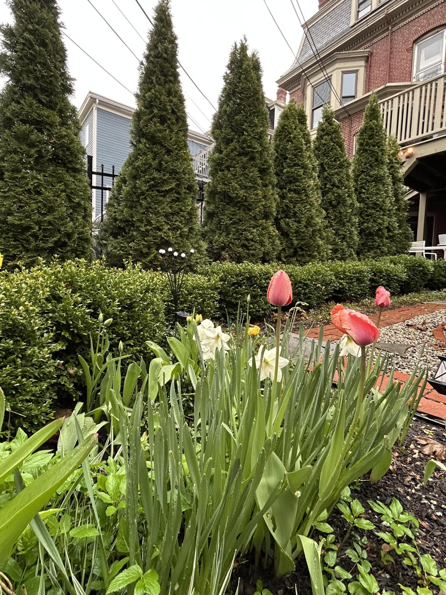 49 Deering Street Portland ME 04101