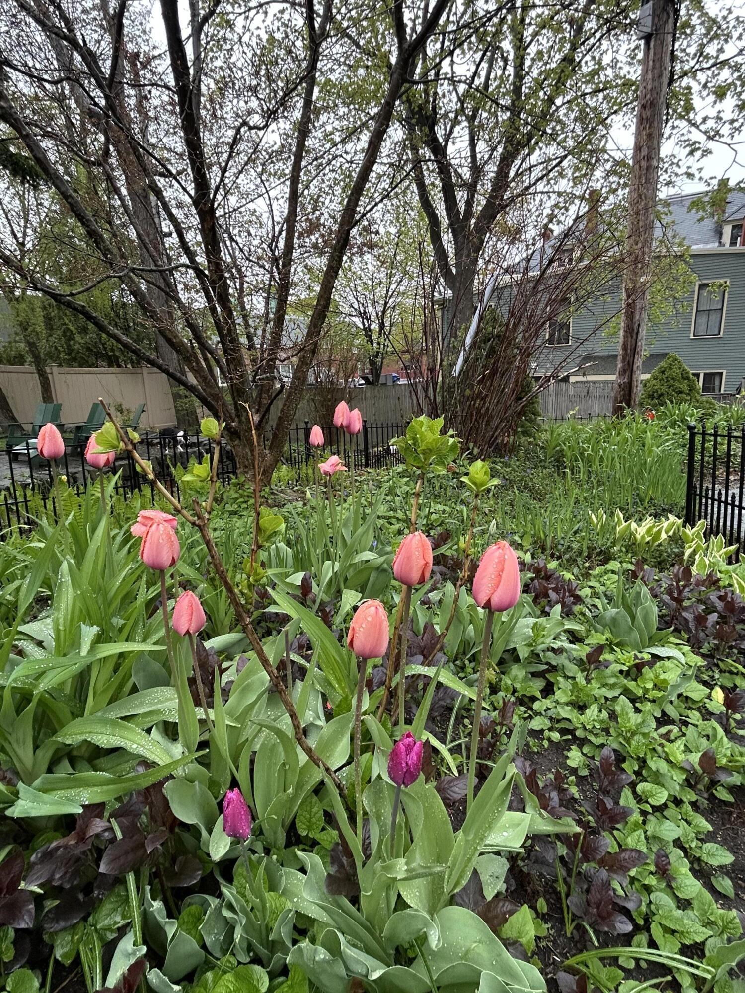 49 Deering Street Portland ME 04101