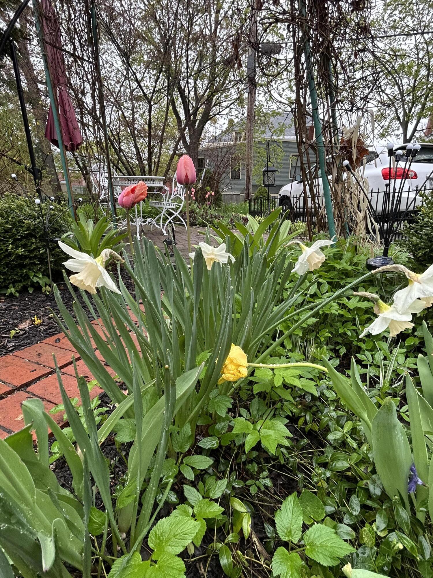 49 Deering Street Portland ME 04101