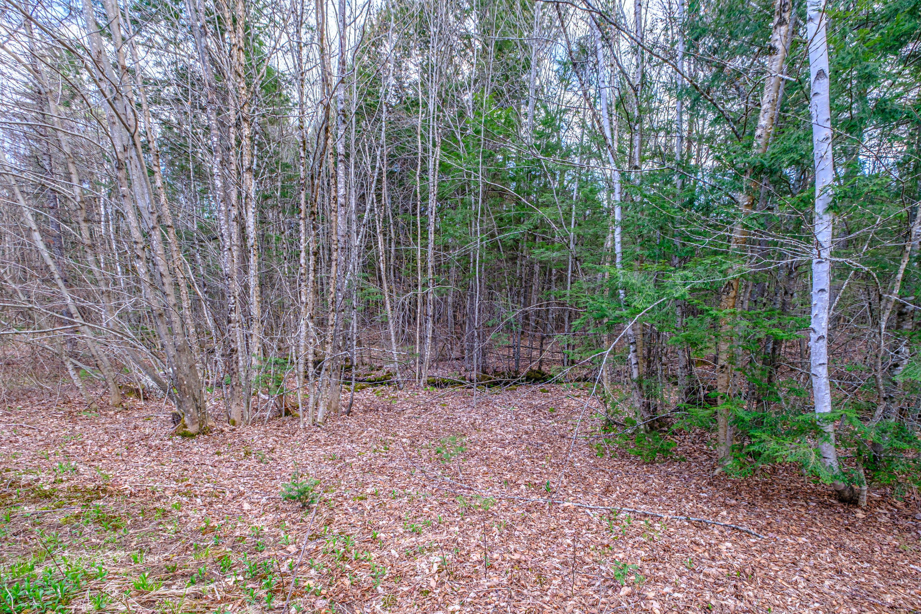 220 Kimball Road Bridgton ME 04009