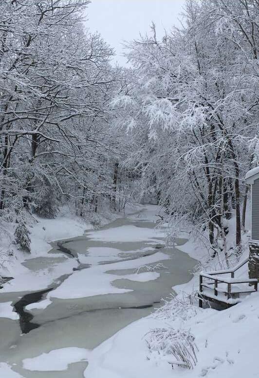 21 Mill Road Falmouth ME 04105