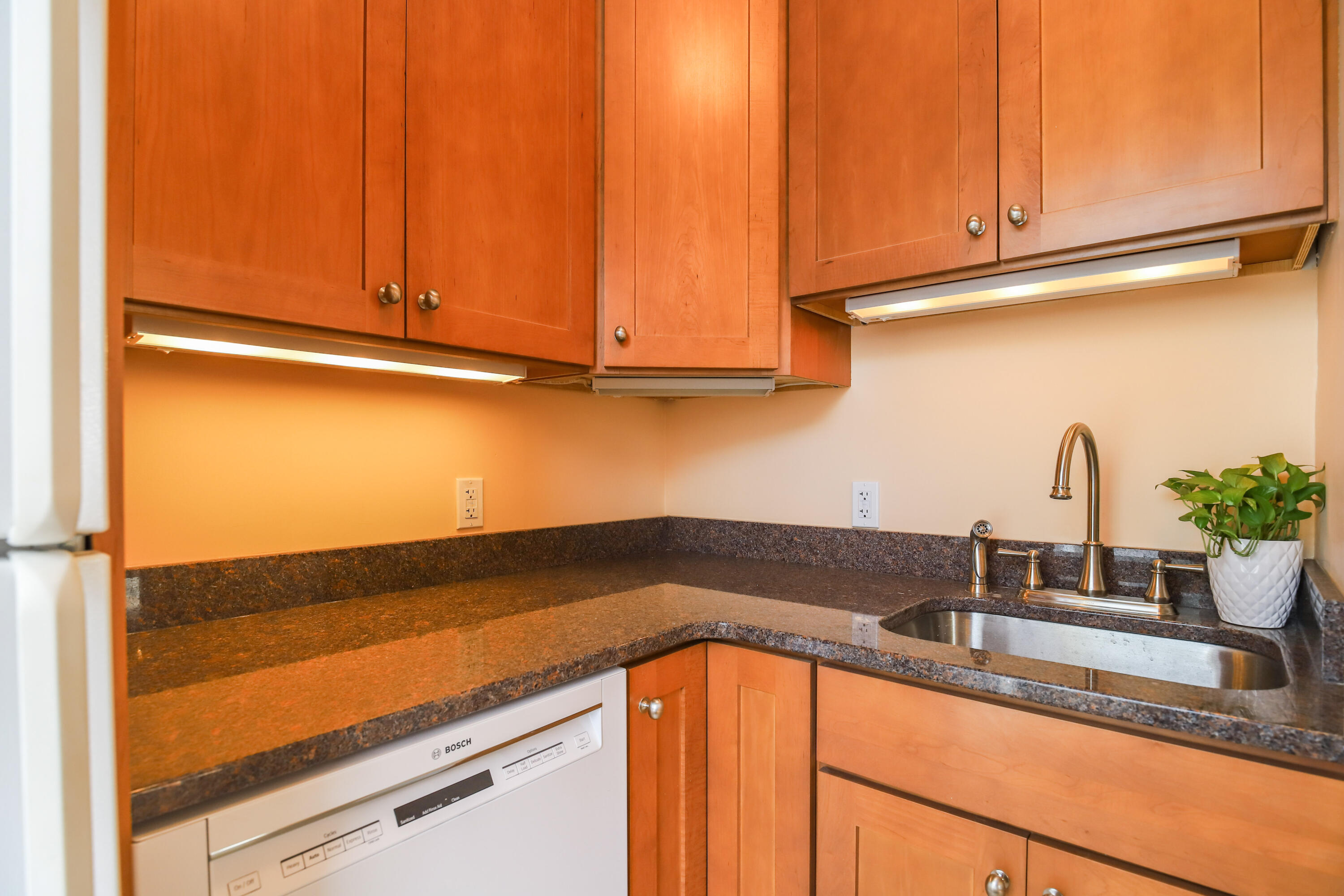 115 Clark Street Portland ME 04102