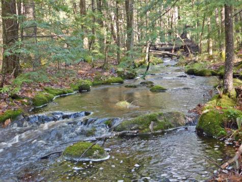 9 Hidden Drive New Gloucester ME 04260