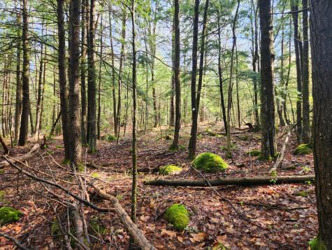 9 Hidden Drive New Gloucester ME 04260